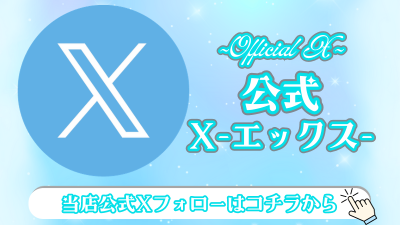 公式X